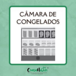 Adesivo - Câmara Congelados