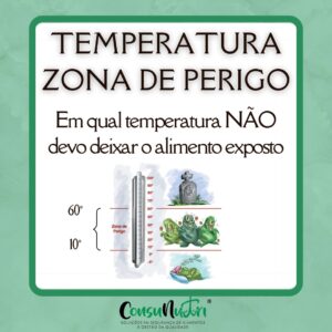 Adesivo - Temperatura Zona de Perigo